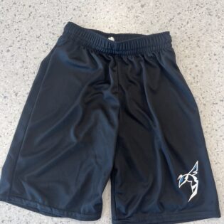 Hornets Shorts - Image 2